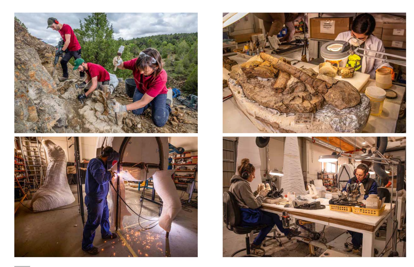 Imágenes reportaje NG octubre 2025 fotografías Javier Lobón