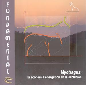 Fundamental número 19