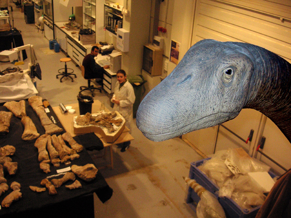 Laboratorio FCPT-Dinópolis copia