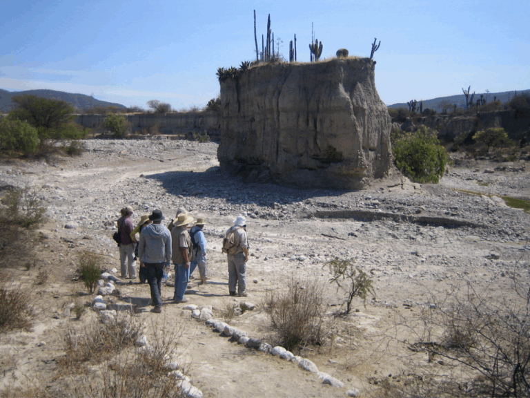 Yacimiento Skull Creek