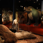 Satélite Dinópolis Castellote copia