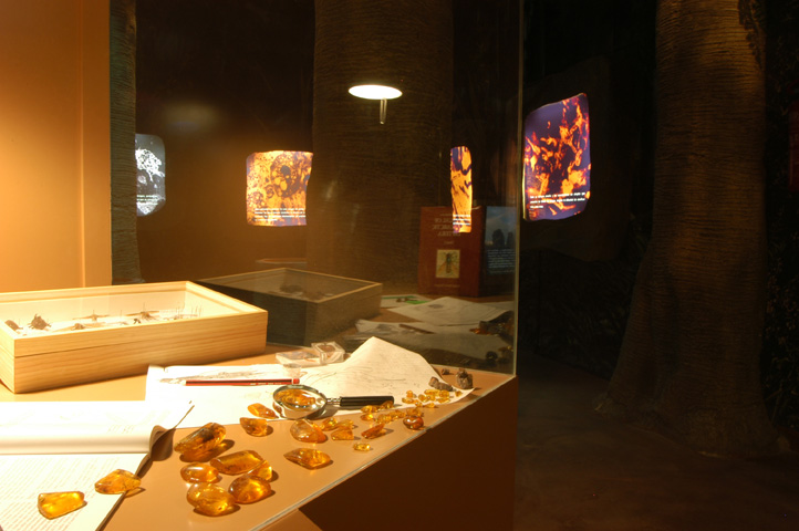 Satélite Dinópolis Rubielos de Mora copia