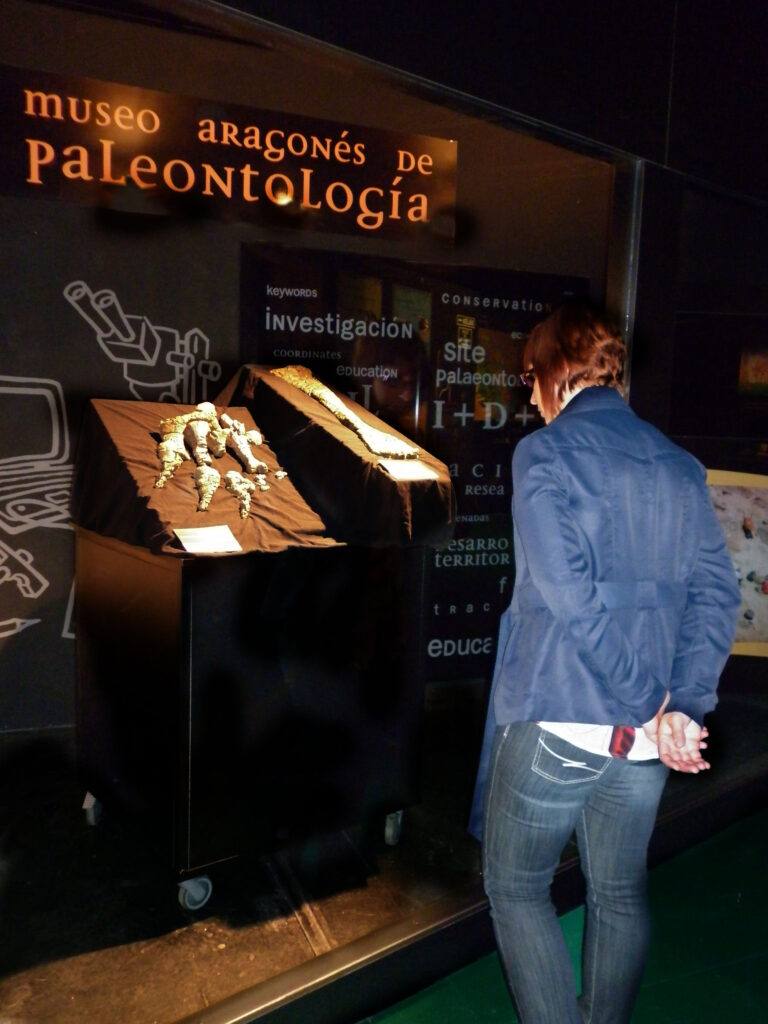 radiopieTastavinscastellarpublico