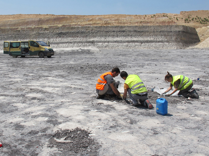 Yacimiento inusual de icnitas de dinosaurios en la provincia de Teruel