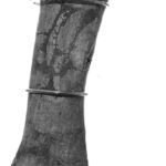 Foto 2 Fmur de Lourinhasaurus