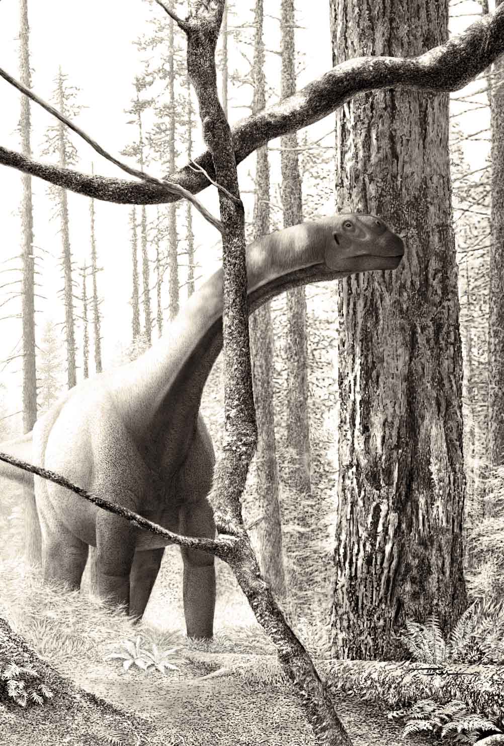 Foto 3 Lourinhasaurus autor Ivín Gromicho