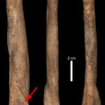 RADIO ALFAMBRA TERUEL b