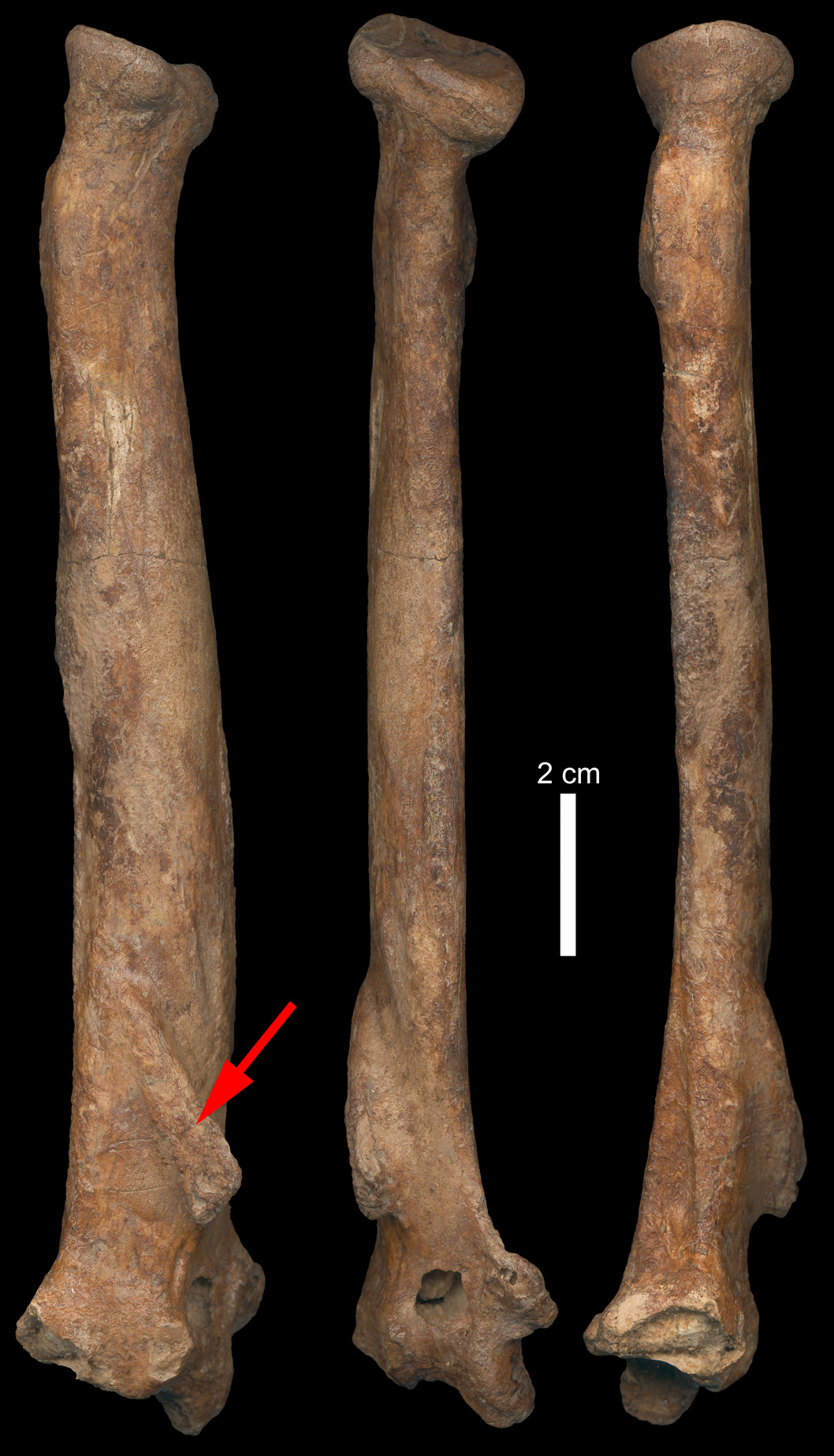 RADIO ALFAMBRA TERUEL b