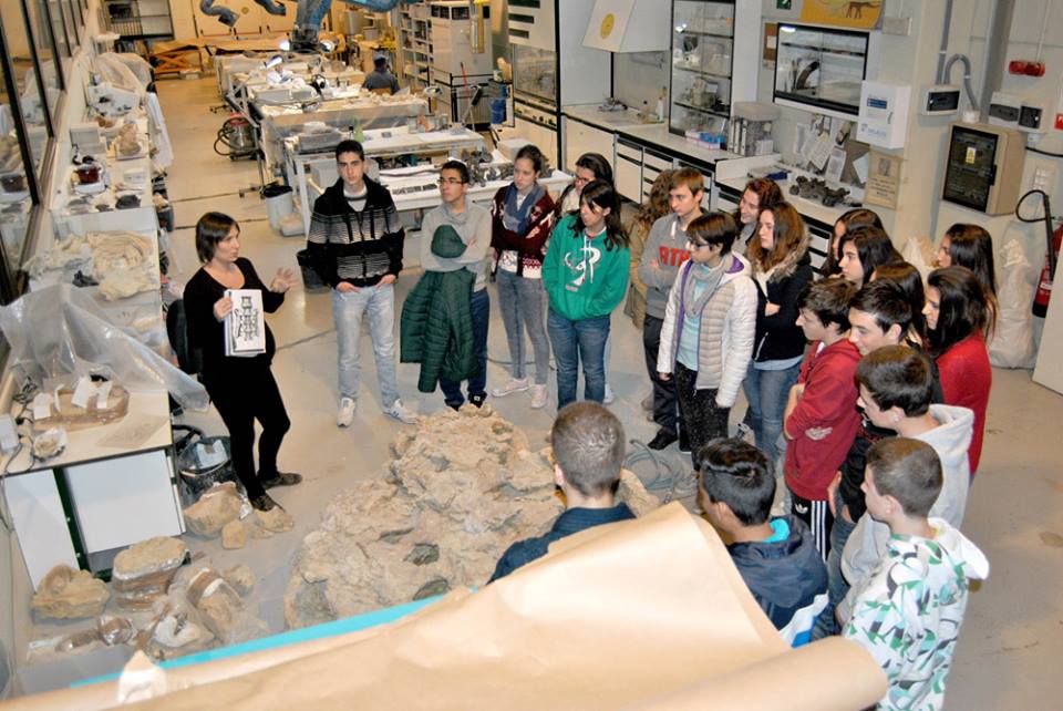 1450119 930038937025277 7651367960851282713 n