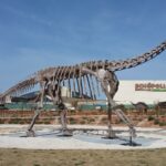 Turiasaurus riodevensis