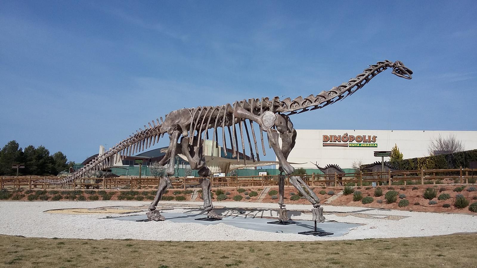 Turiasaurus riodevensis