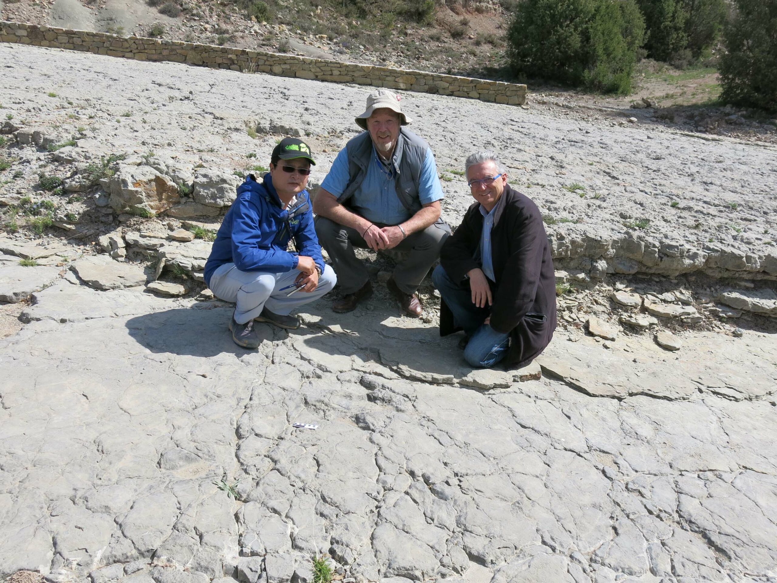 FOTO FCPTD Visita paleont&oacute;logos coreanos yacimientos icnitas de dinosaurios Teruel