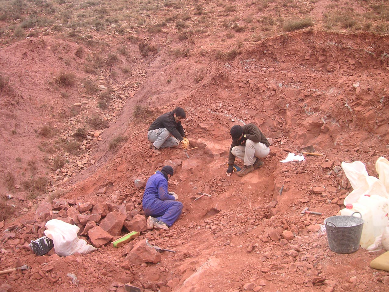 Foto 5. Yacimiento de Iguanodon galvensis