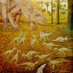 Foto 6. Recreaci&oacute;n guarderia