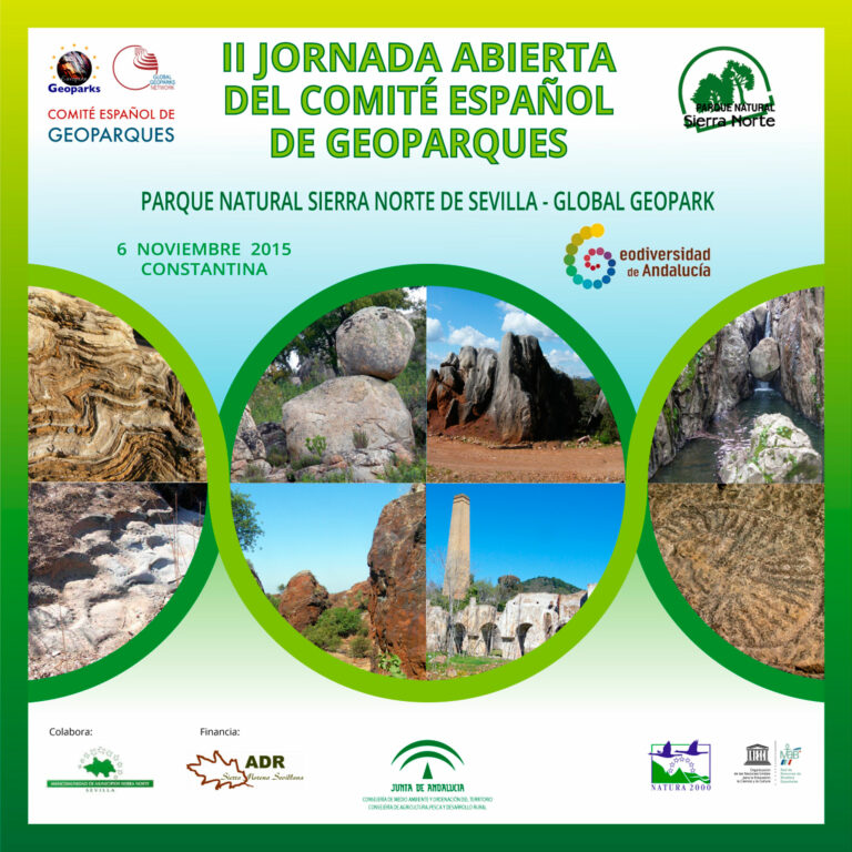 JORNADA COMITE 2 web