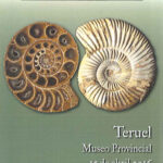 CURSO FISCALES copia copia