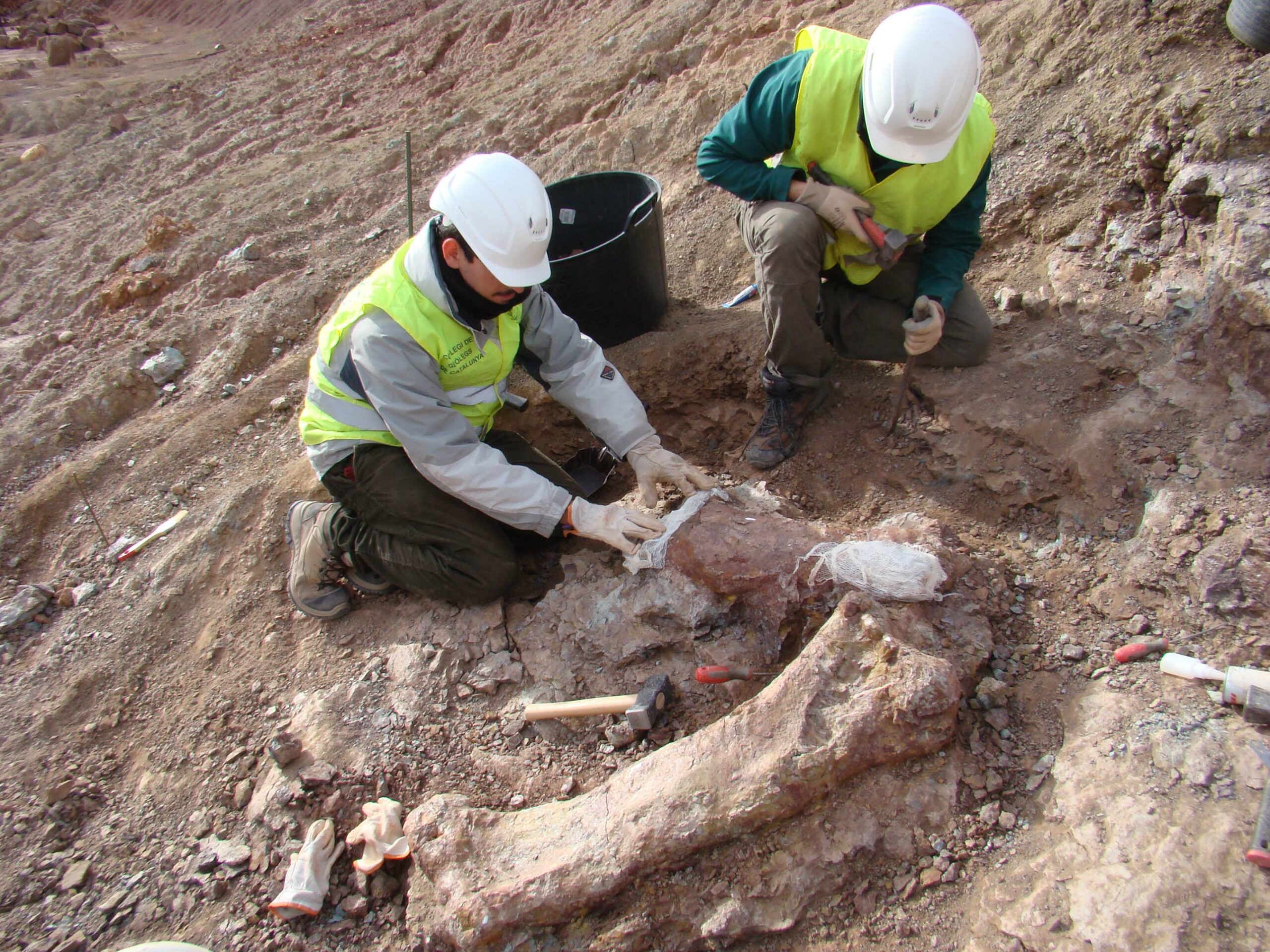 Foto 2 Huesos en la mina de arcilla de Galve