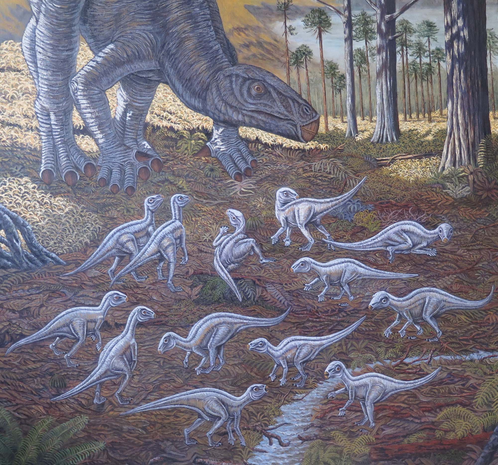 Foto 3 reconstrucción guardería