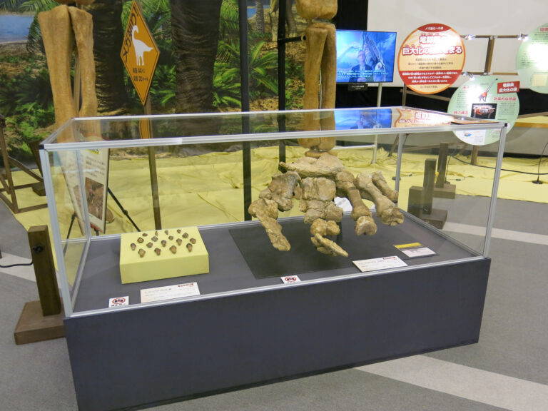 TOYOHASHI TURIASAURUS