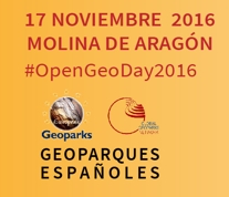 COMITE MOLINA FACEBBOK copia