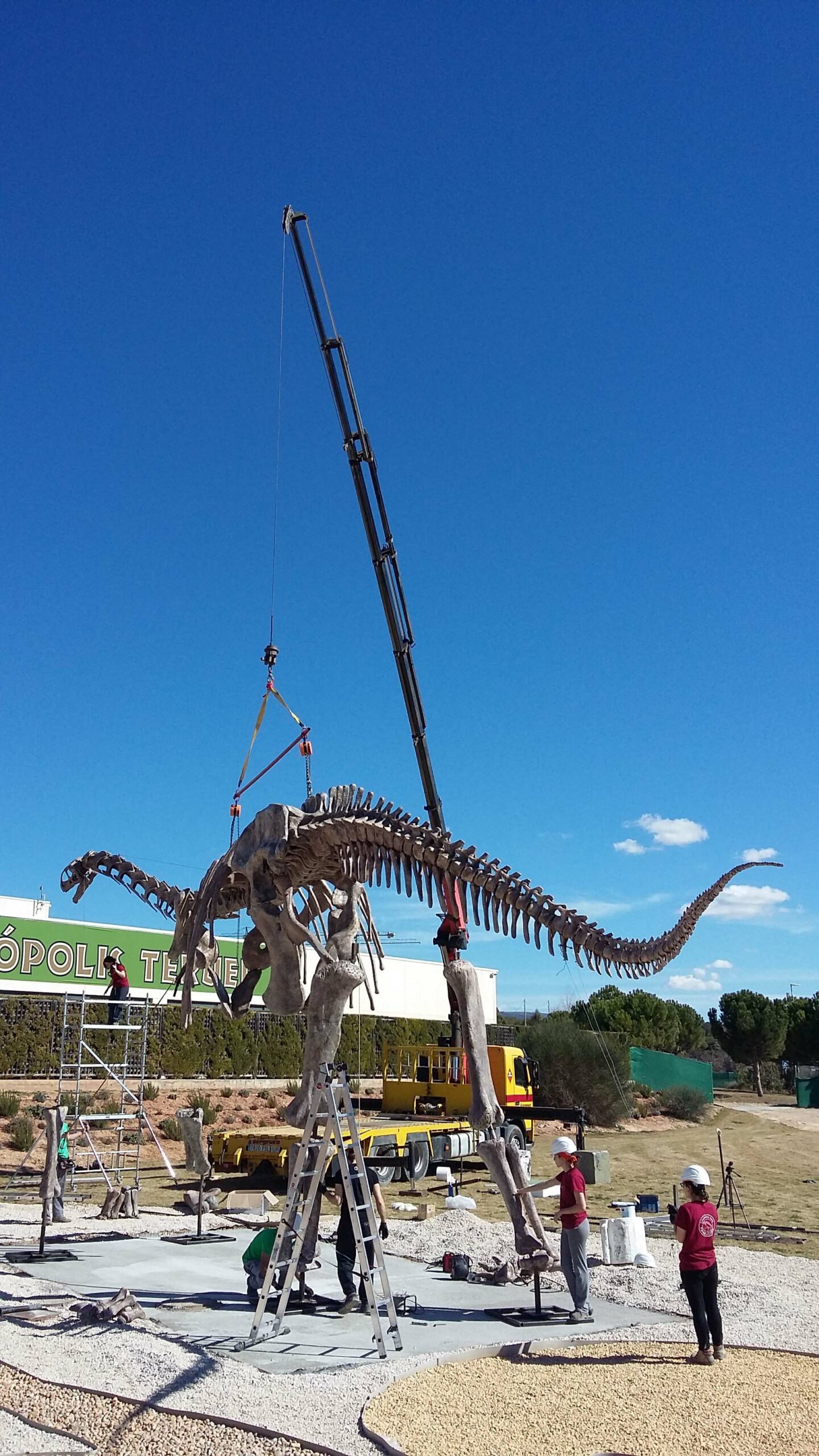 20170302 142011 copia