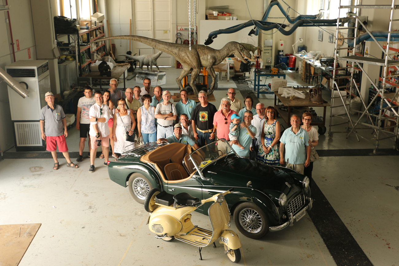 IMG 2308 copia copia