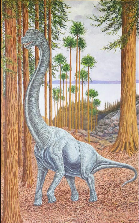 Foto 5. Soriatitan reconstrucción