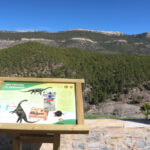 Foto2 SGE ElCastellar copia