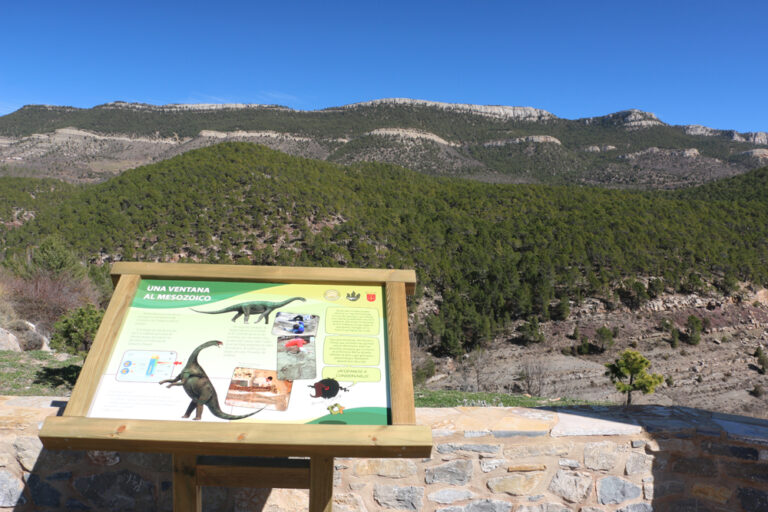 Foto2 SGE ElCastellar copia