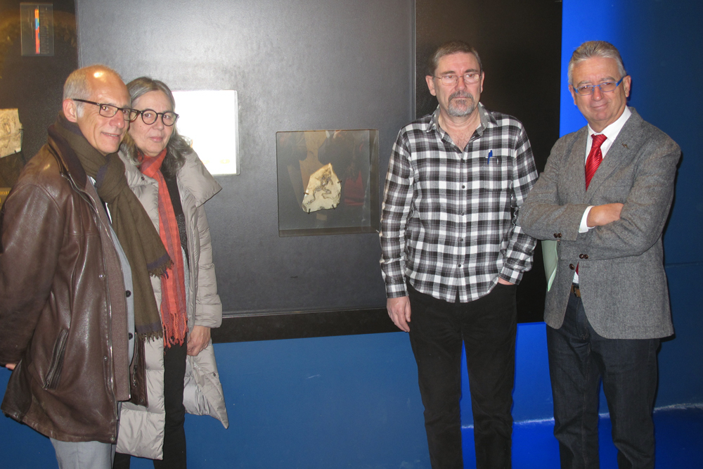 Jurado con fósil Rana de Libros copia