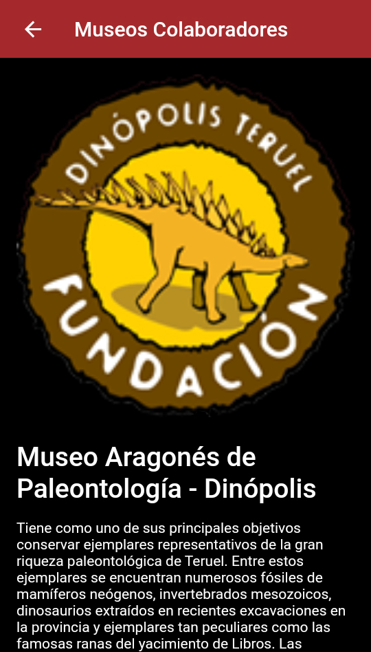 Figura2 App Elañodelavida