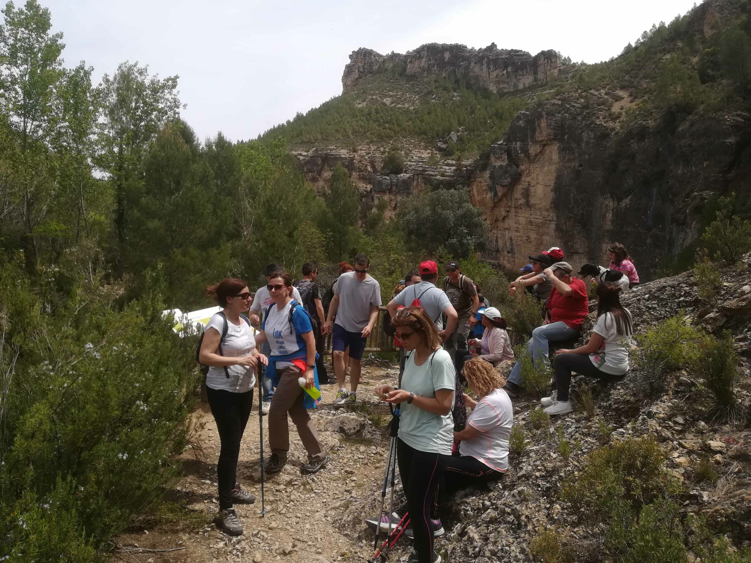 IMG 20180512 124017 copia