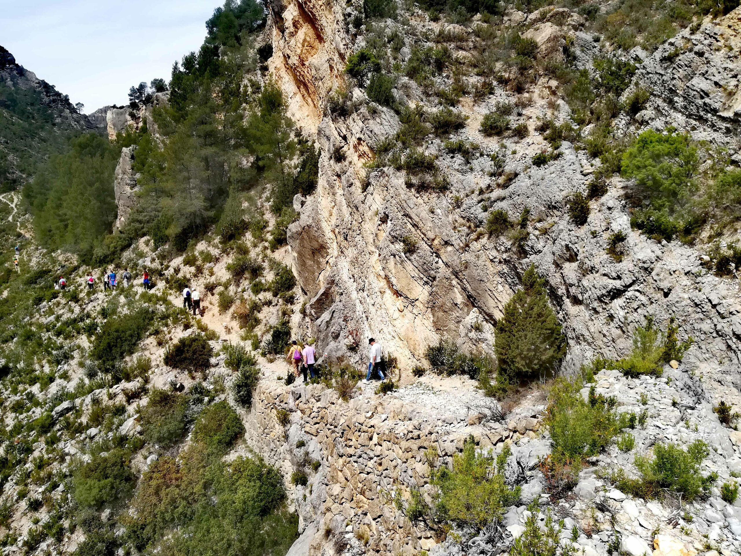 IMG 20180512 231341 copia