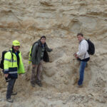 Knoll norte Francia copia