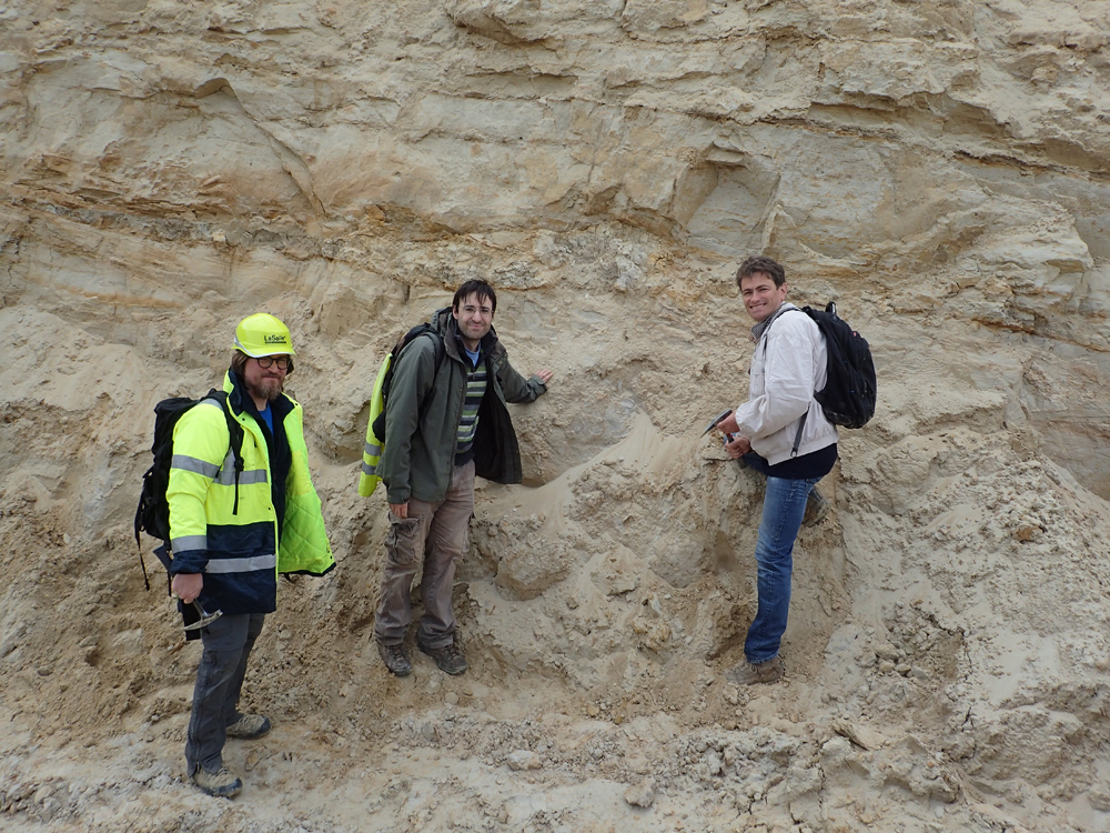 Knoll norte Francia copia