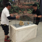 Desmontaje 2018 copia