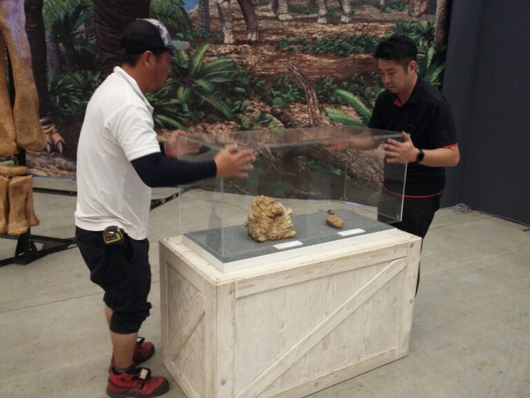 Desmontaje 2018 copia