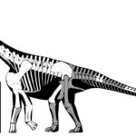 Figura 1 saurópodo de Baldovar