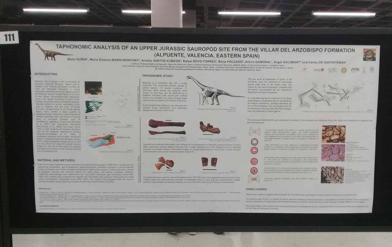 Figura 3 Poster presentado en la SVP