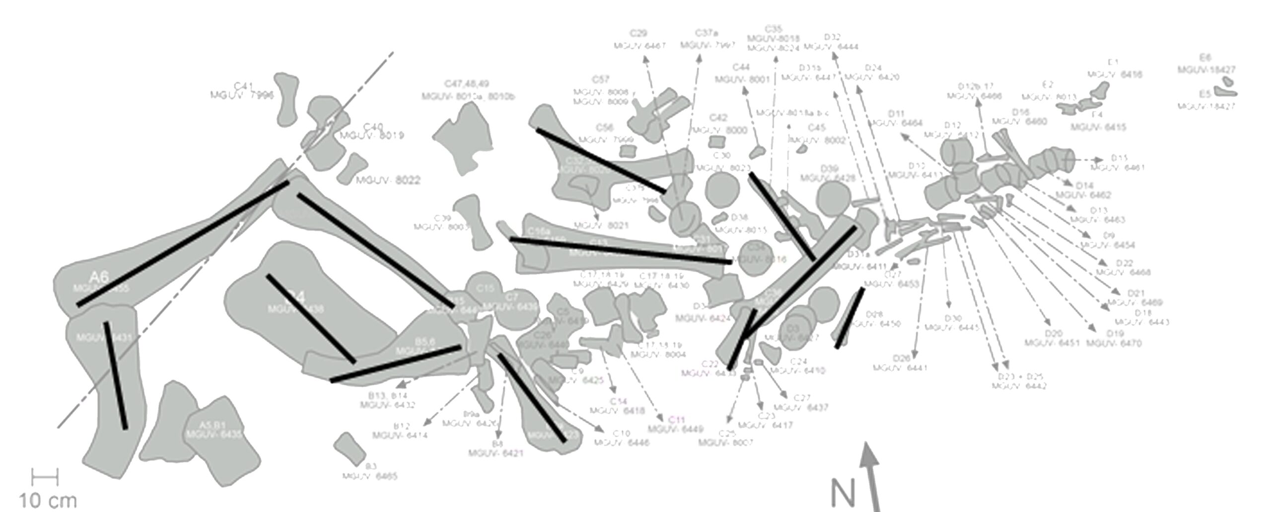 figura 2 mapa de excavación