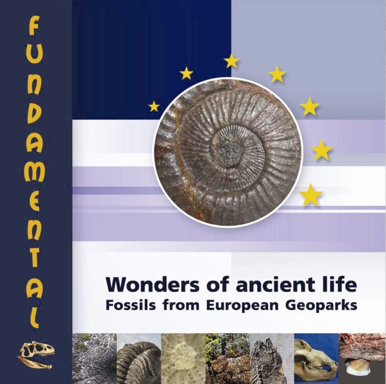 Copia de WONDERS OF ANCIENT LIFE portada