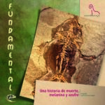 PORTADA FUNDA31 baja