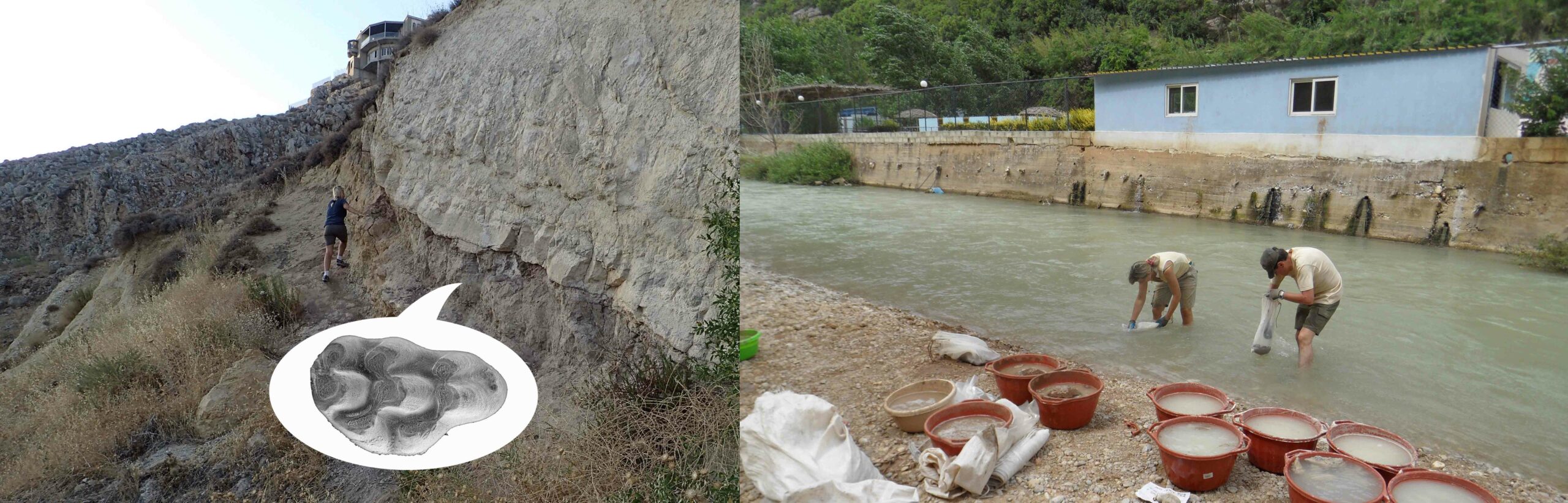 photo press release Lopez Antonanzas et al copia