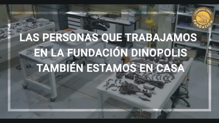 0 Presentación Copy