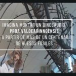 2 Imagina montar dinosaurio Copy