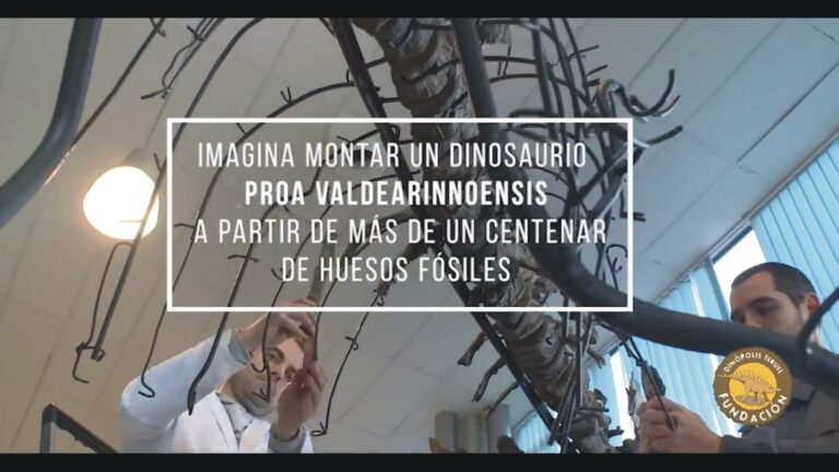 2 Imagina montar dinosaurio Copy