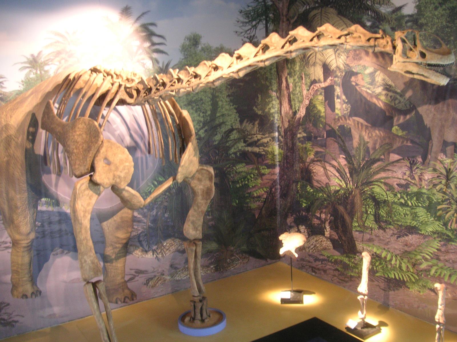 Foto 05 Reconstrucción de Turiasaurus en la sede de Dinópolis en Riodeva Copy