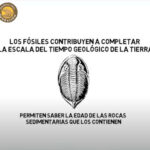 Las fresas del pastel