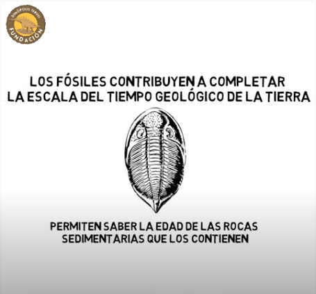 Las fresas del pastel