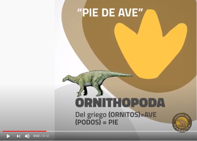 Pie de ave